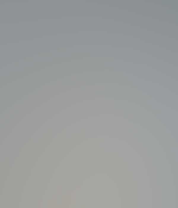 Mavi travel & conference